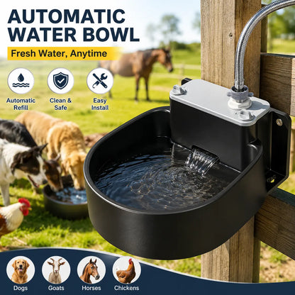 Automatic Water Bowl