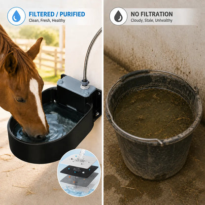 Automatic Water Bowl