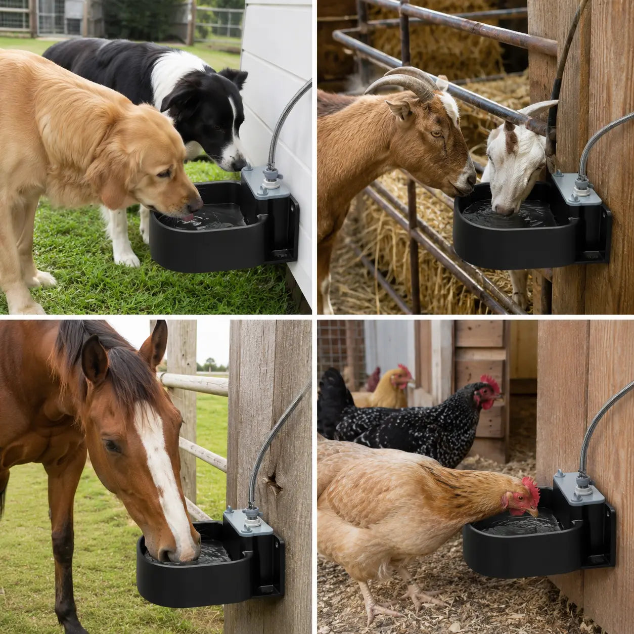 Automatic Water Bowl
